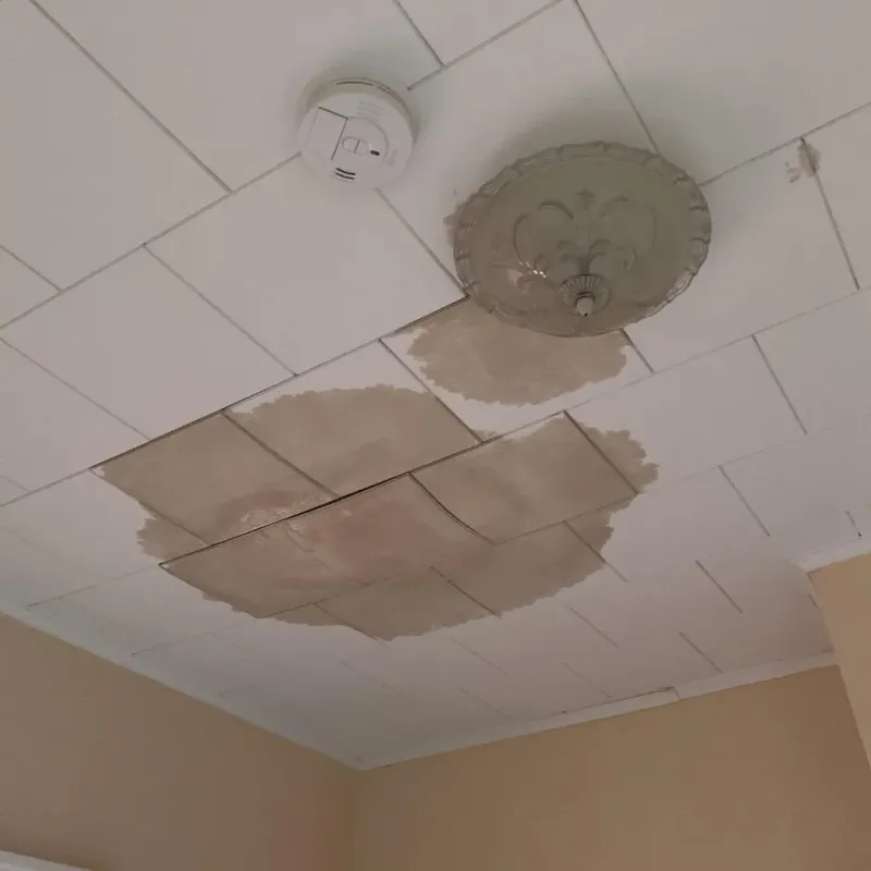 Ceiling Water Damage Repair in Benton County, AR