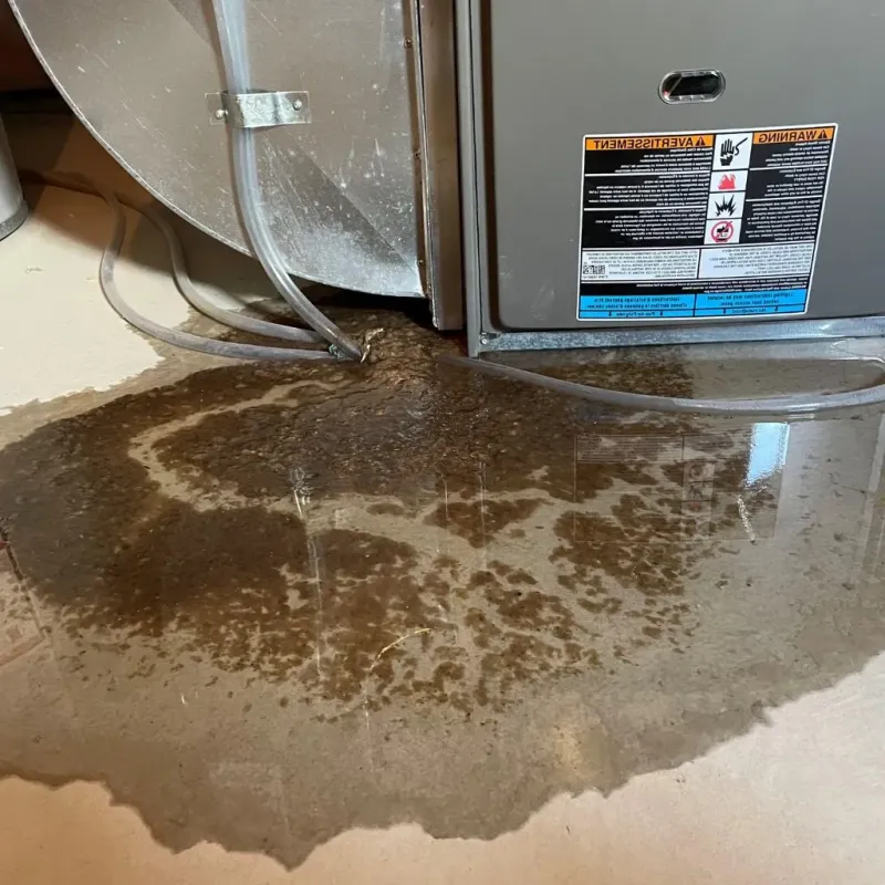 Pipe Burst and Leak Restoration in Benton County, AR