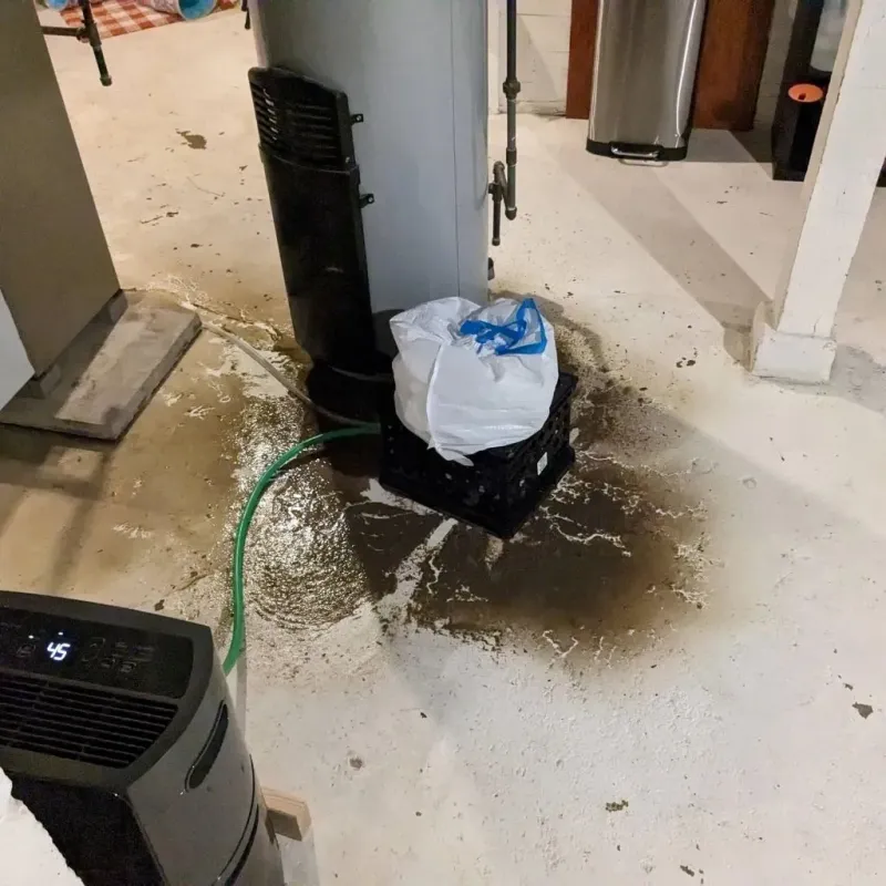 Sewage Backup Cleanup Service in Benton County, AR